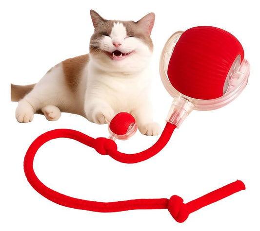 PlayBall™ | Mantén a tu mascota entretenida horas