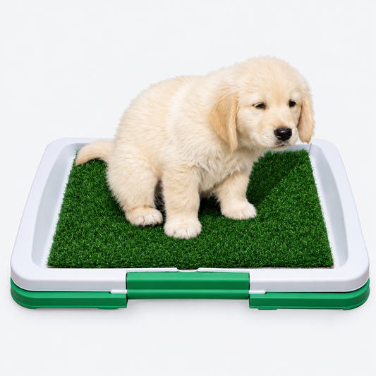 PuppyPad | Entrena a tu cachorro sin desastres