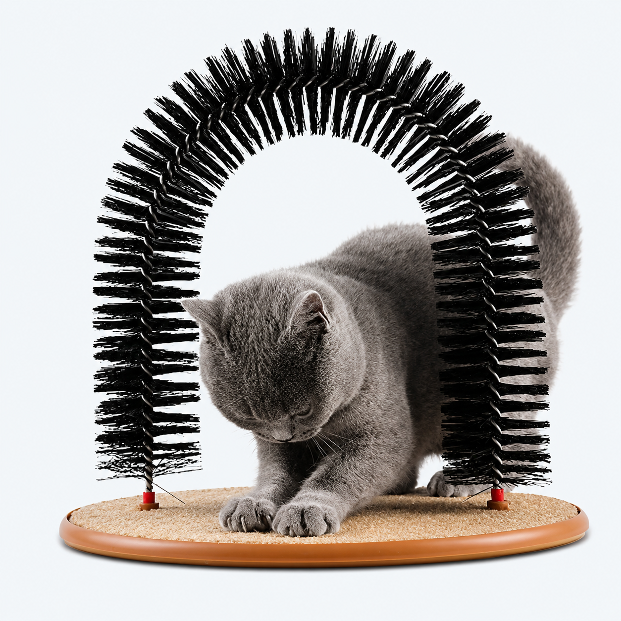 PurrRelax™ | Relaja y masajea a tu gato mientras ronronea