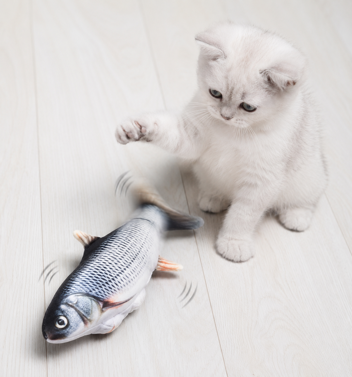 FloppyFish™ | El pez viral que vuelve locos a los gatos